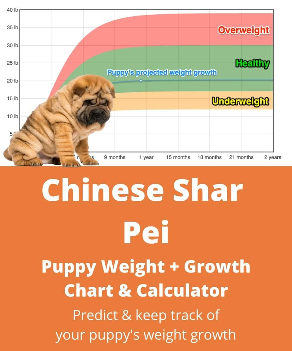 chinese-shar-pei Puppy Weight Growth Chart